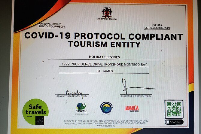 Group Private Kingston Airport Transfers (4 - 9 Persons) - The Sum Up: Who Should Consider This Service?