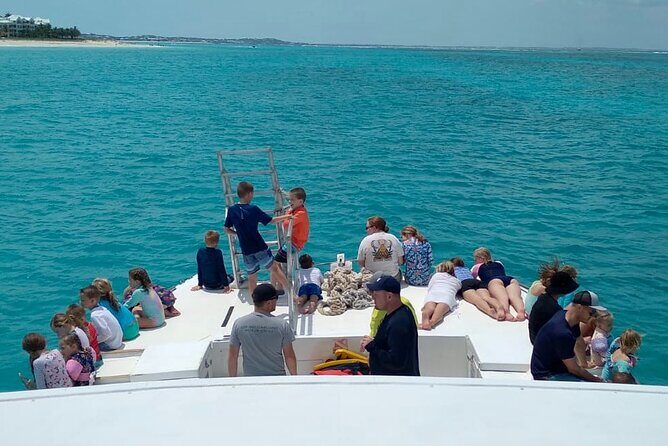 Group Reef, Beach and Sandbar Tour from Providenciales - Discovering Providenciales: An Honest Look at the Group Reef, Beach, and Sandbar Tour