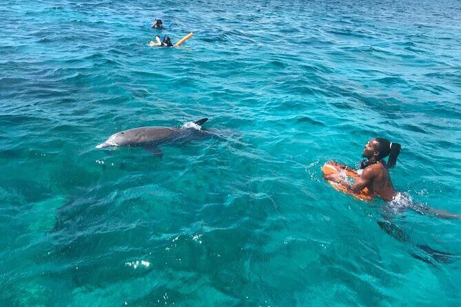 Group Reef, Beach and Sandbar Tour from Providenciales - Who Will Love This Tour?