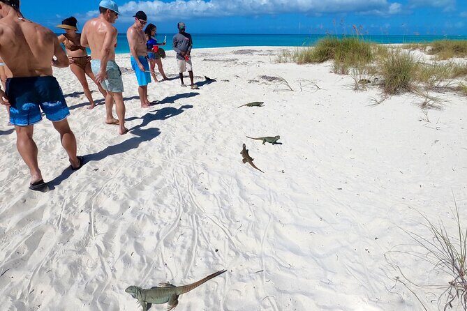 Group Reef, Beach and Sandbar Tour from Providenciales - Frequently Asked Questions