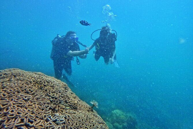 [GROUP] SCUBA DIVING For Beginners in Phu Quoc Island (TRY DIVE) - What You Can Expect from the Tour Itinerary