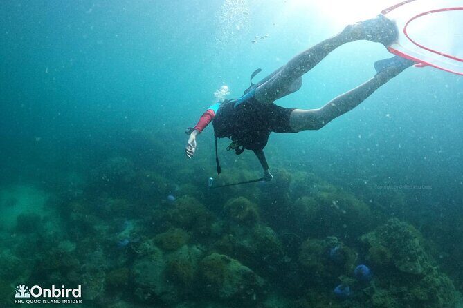 [GROUP] SCUBA DIVING for Certified Divers in Phu Quoc Island - Key Points