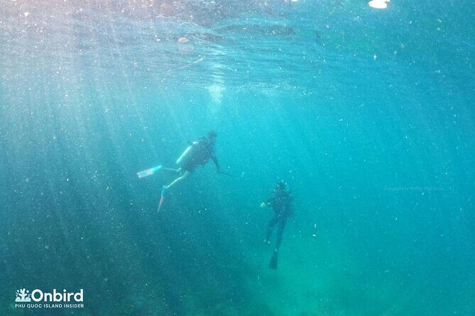[GROUP] SCUBA DIVING for Certified Divers in Phu Quoc Island - What Its Like Onboard