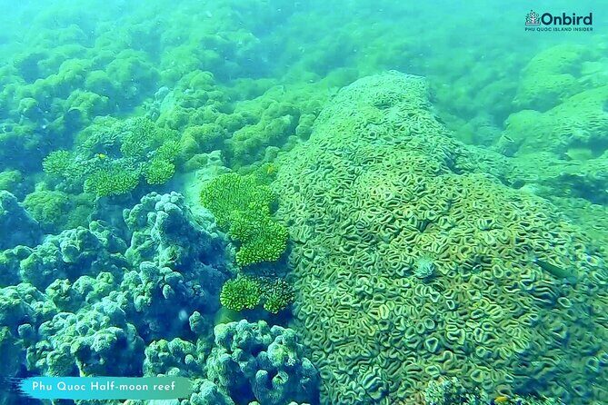 [GROUP] SCUBA DIVING for Certified Divers in Phu Quoc Island - Authenticity and Traveler Insights