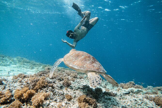Group Snorkeling Tour Gili Islands Including GoPro Documentation - The Practical Side: What to Expect