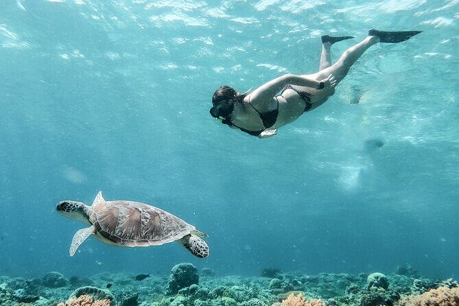 Group Snorkeling Tour Gili Islands Including GoPro Documentation - Who Should Consider This Tour?