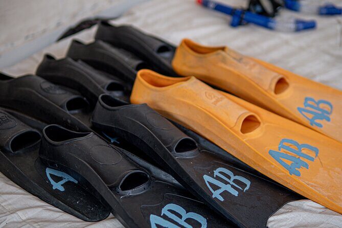 Group Snorkeling Tour Gili Islands Including GoPro Documentation - Final Thoughts