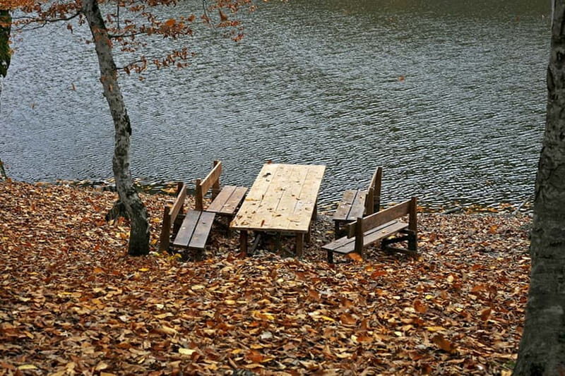 Group Tour: Dilijan, Parz Lake, Makaravank, wine factory - The Sum Up