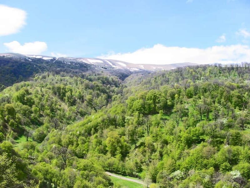 Group Tour: Dilijan, Parz Lake, Makaravank, wine factory - FAQ