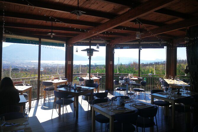 Group tour for wine & food tasting at the Cantina del Vesuvio. - A Closer Look at the Tour Itself
