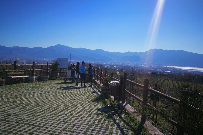 Group tour for wine & food tasting at the Cantina del Vesuvio. - Frequently Asked Questions