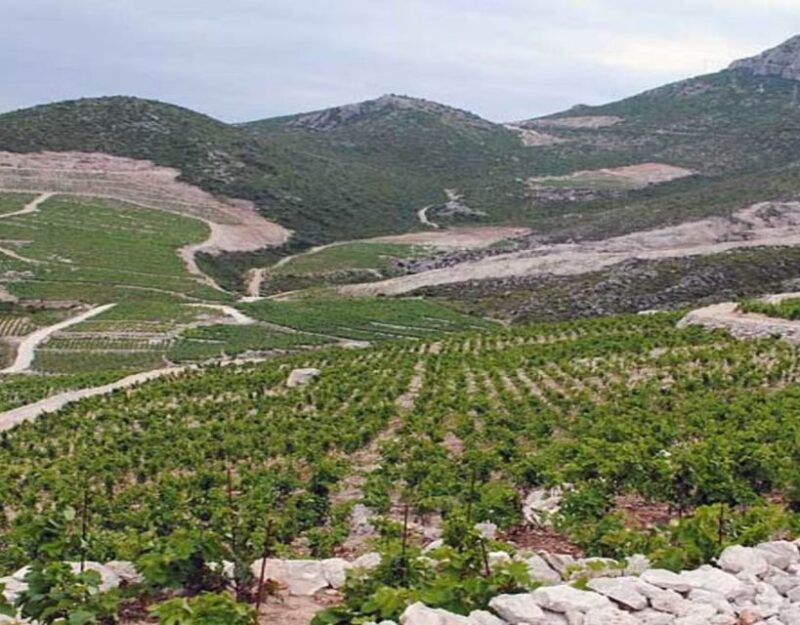 Group Tour From Dubrovnik: Ston and Peljesac Wineries Tour - Discover Croatia’s Hidden Gems: Ston and Peljesac Wineries Tour