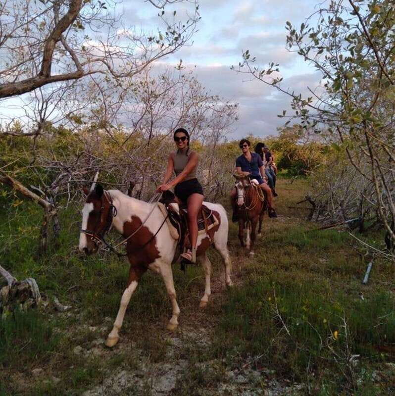 Group Tour of Holbox Island, Quintana Roo - Exploring Holbox Island by Horseback: A Deep Dive into the Punta Siricote Tour