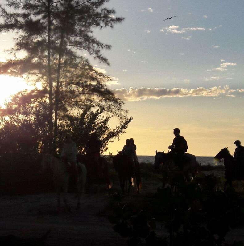 Group Tour of Holbox Island, Quintana Roo - Why This Tour Works for Travelers