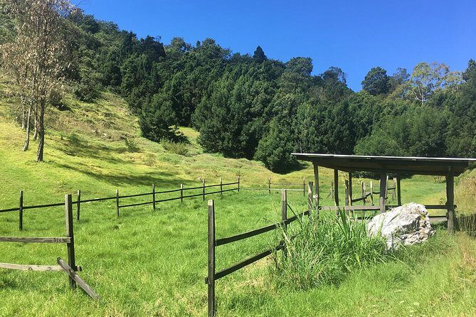 Group Tour of Nature Park - Key Points