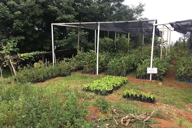 Group Tour of Nature Park - Who Should Consider This Tour?