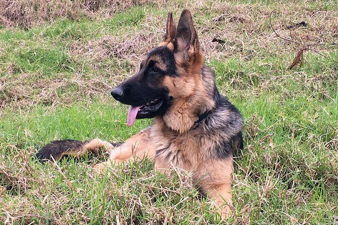 Group Tour of Nature Park - FAQ