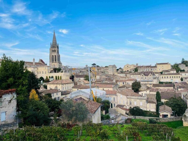 Group Tour: Saint Emilion Walking Tour+Wine tasting in cave - A Genuine Taste of Saint Emilion: Walking Tour and Cave Wine Tasting