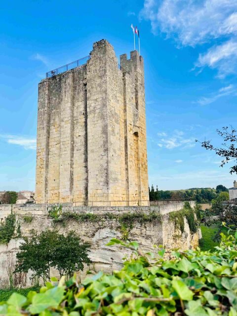 Group Tour: Saint Emilion Walking Tour+Wine tasting in cave - The Wine Tasting: A Hidden Treasure