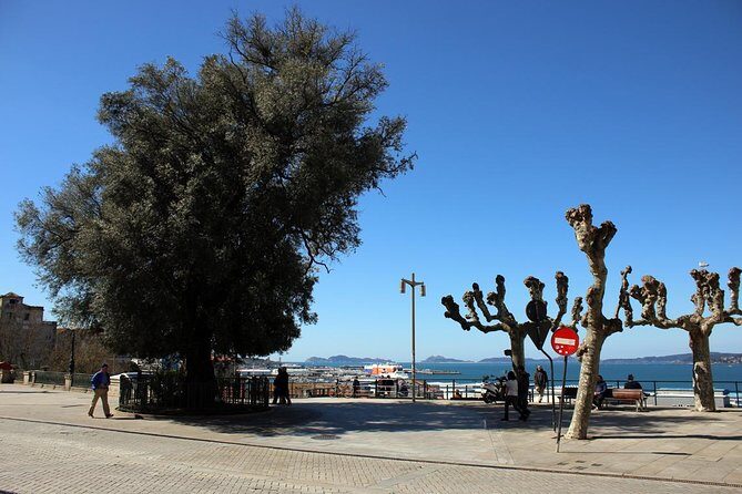 GROUP walking tour in Vigo en español - Final Thoughts