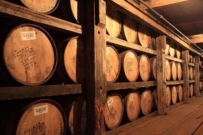 Groups: Makers Mark OR Buffalo Trace OR Woodford or Others - A Deep Dive into the Kentucky Bourbon Tour