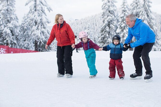 Grouse Mountain Admission Ticket - Key Points