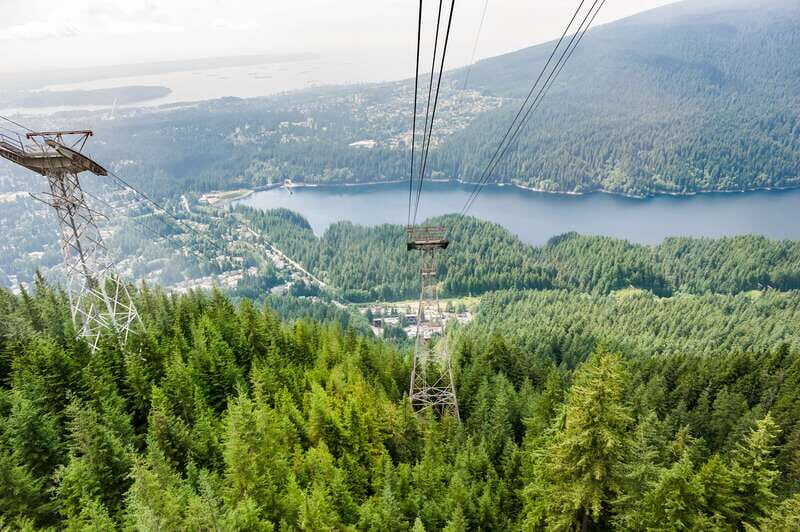 Grouse Mountain, Capilano Bridge & Fish Hatchery Tour - Experience Vancouver’s Natural Wonders: Grouse Mountain, Capilano Bridge & Fish Hatchery Tour