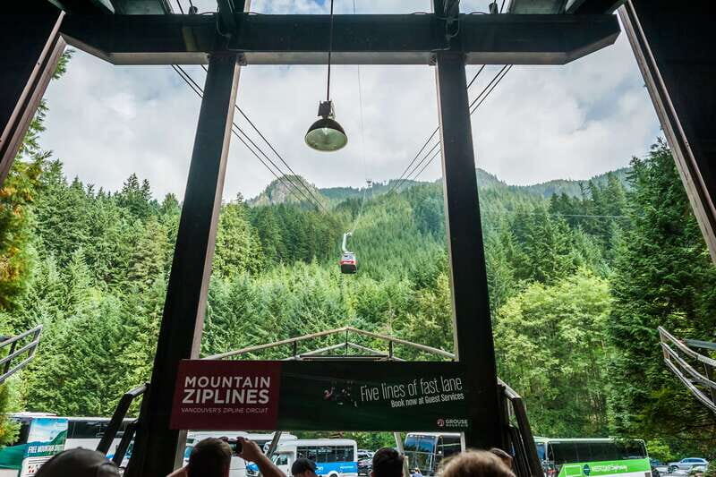Grouse Mountain, Capilano Bridge & Fish Hatchery Tour - Final Thoughts: Is This Tour Worth It?