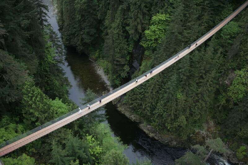 Grouse Mountain, Capilano Bridge & Fish Hatchery Tour - Frequently Asked Questions
