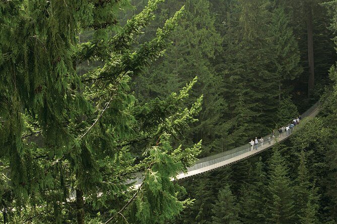 Grouse Mountain & Capilano Bridge Tour with Fish Hatchery - An In-Depth Look at the Vancouver Adventure