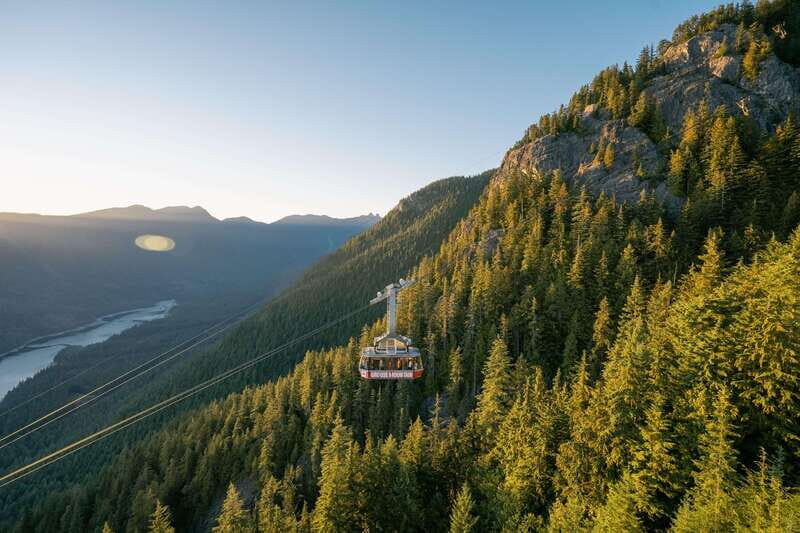 Grouse Mountain Skyride Admission Ticket - Wildlife Encounters and Educational Shows