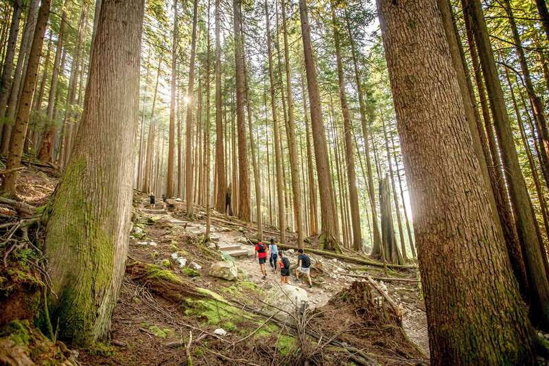 Grouse Mountain Skyride Admission Ticket - Outdoor Activities and Seasonal Variations
