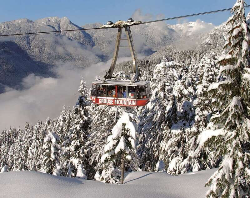 Grouse Mountain Skyride Admission Ticket - Dining and Shopping