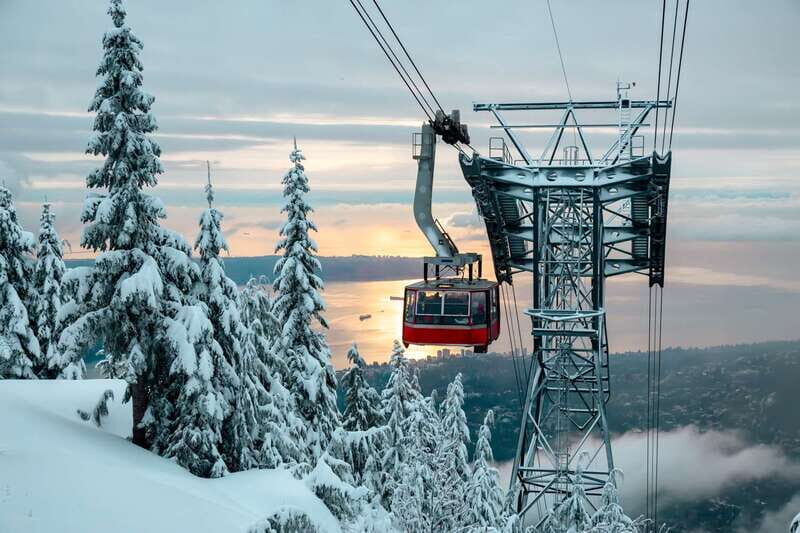 Grouse Mountain Skyride Admission Ticket - Additional Activities and Extras