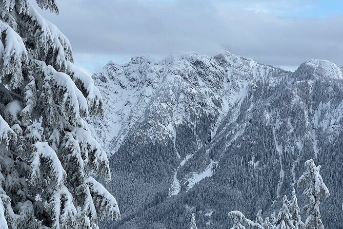 Grouse Mountain Snowshoeing Adventure with Scenic Skyride - Considering the Value