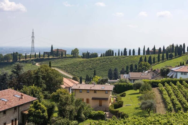 Grumello: Wine Tasting Tour at Historic Family Winery - Practical Aspects and Value