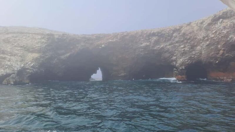 GRUPAL FULL DAY Paracas(Ballestas) + Ica + Huacachina(Oasis) - An In-Depth Look at the Experience
