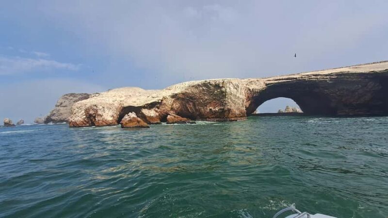 GRUPAL FULL DAY Paracas(Ballestas) + Ica + Huacachina(Oasis) - Final Thoughts