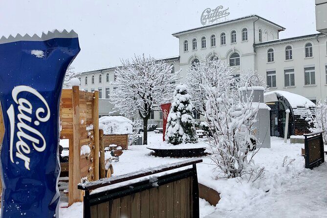 Gruyère Cheese and Chocolate Tasting Day Trip from Geneva - Key Points