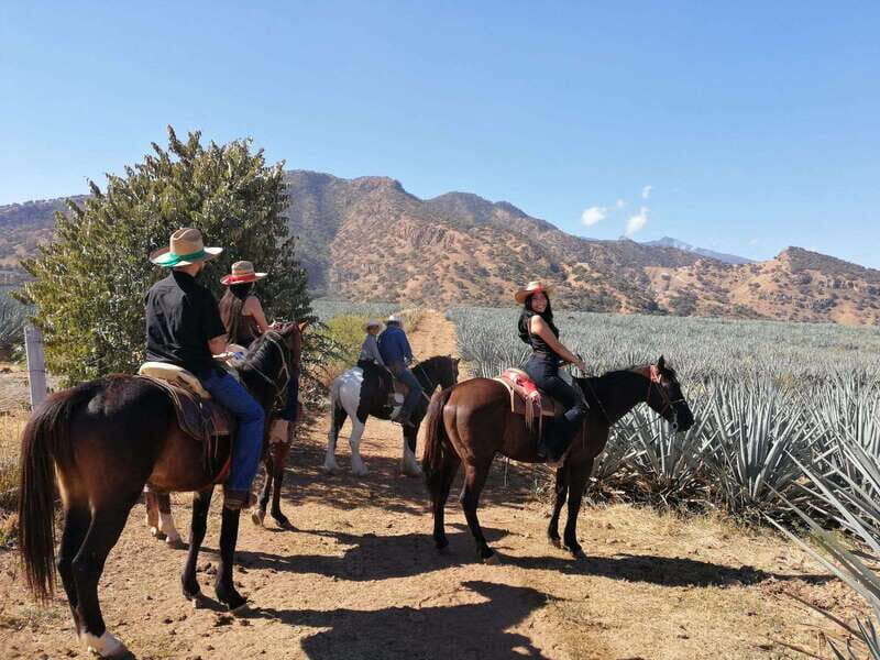Guadalajara: Horse Riding on the Tequila Route with Tastings - Exploring Jalisco’s Tequila Region: A Deep Dive