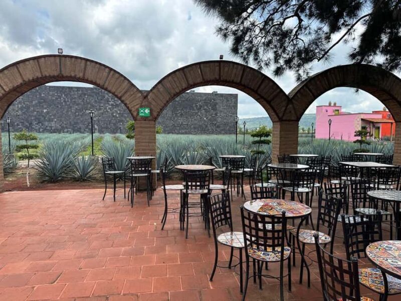 Guadalajara: Secrets of the Highlands Tequila Route - Who Will Appreciate This Tour?