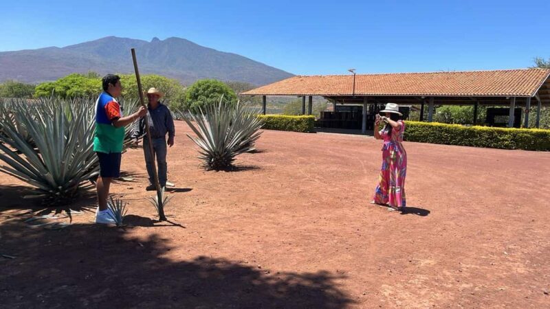 Guadalajara: Tequila Day Trip with Jose Cuervo Option - Visiting a Traditional Distillery