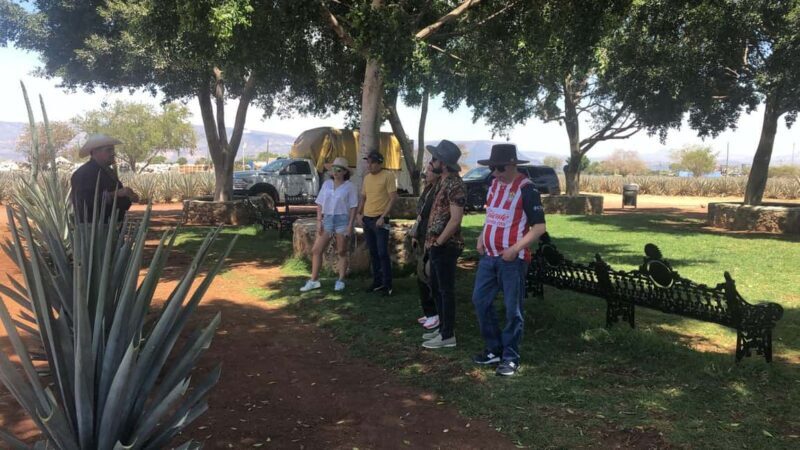 Guadalajara: Tequila Day Trip with Jose Cuervo Option - Exploring the Town of Tequila