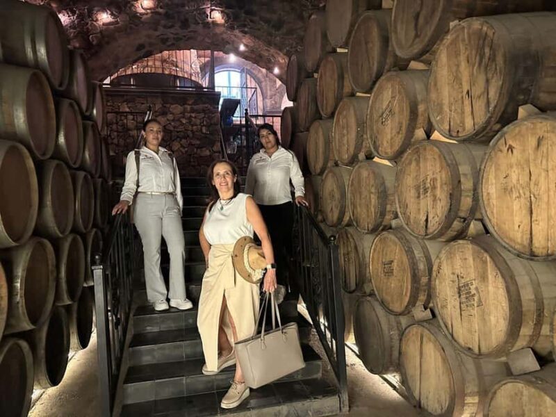 Guadalajara: Tequila Day Trip with Jose Cuervo Option - Returning to Guadalajara
