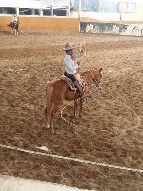 Guadalajara Tour and Charreria Competition Show - FAQs About the Guadalajara Tour and Charreria Show