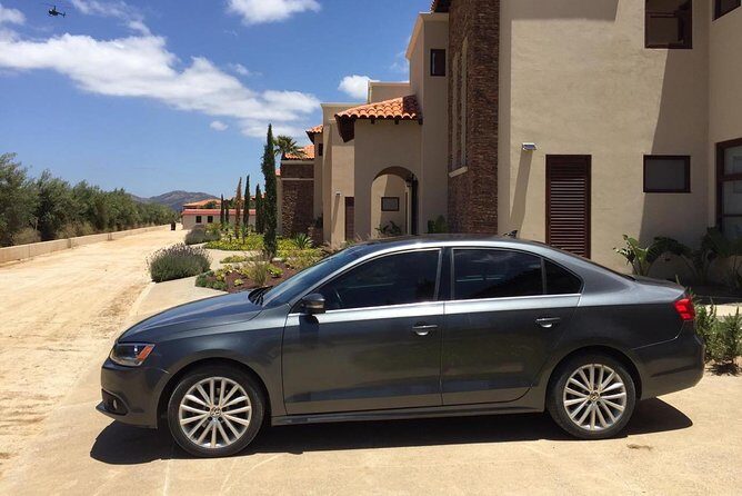 Guadalupe Valley Private Driver Tour - Who Should Consider This Tour?