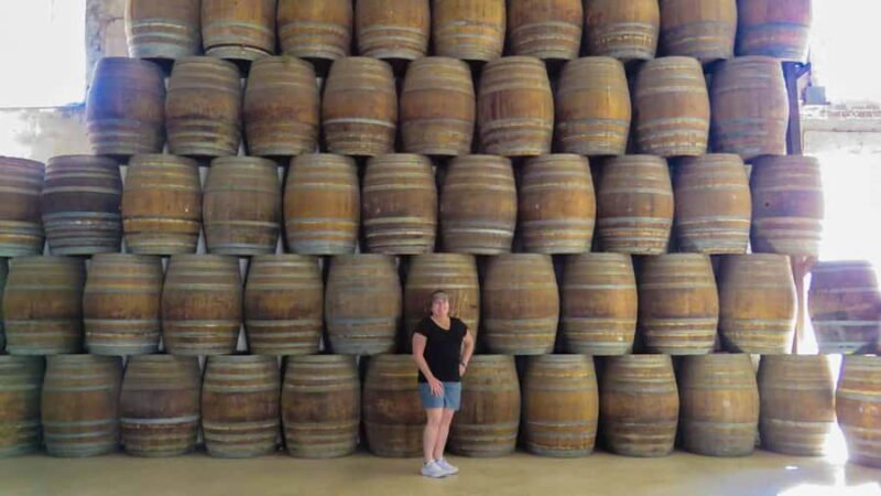 Guadalupe Valley: The Art of Wine, Exclusive Route, and Gourmet Food - Why This Tour Stands Out