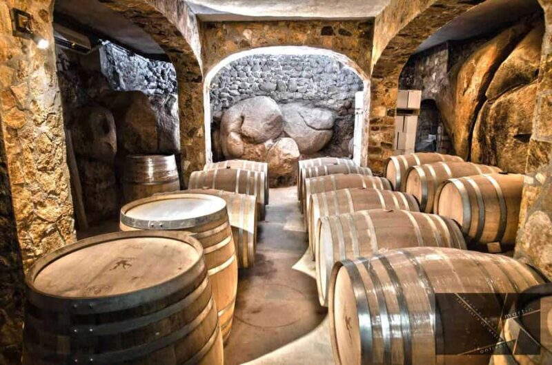 Guadalupe Valley: The Art of Wine, Exclusive Route, and Gourmet Food - Frequently Asked Questions