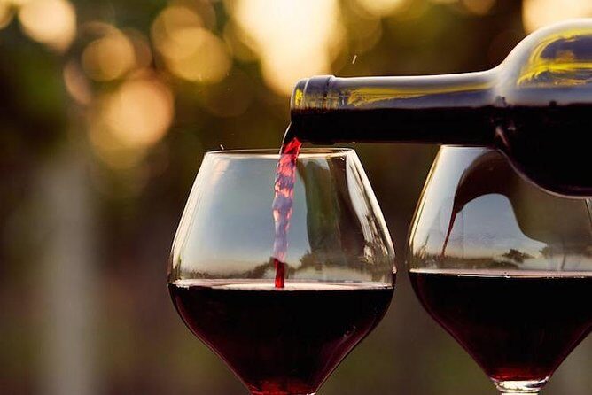 Guadalupe Wine Valley Tour - An In-Depth Look at the Guadalupe Wine Valley Tour