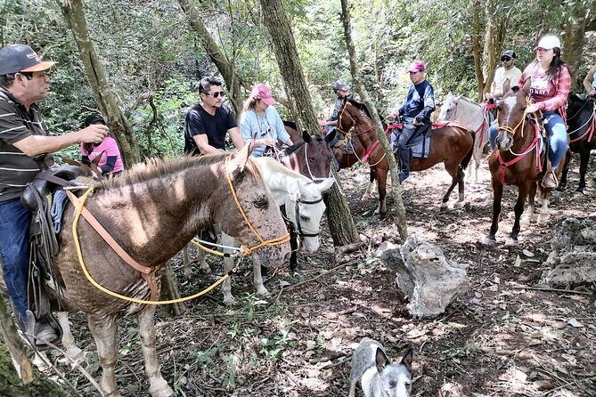 Guanacaste full day: Explore Nature, horse, sloth and waterfalls - FAQ